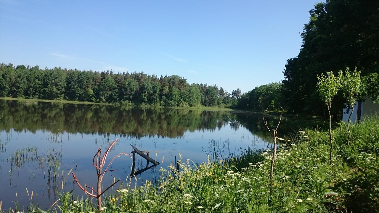 Chata u Smolíků Villa Borovany  Exterior foto